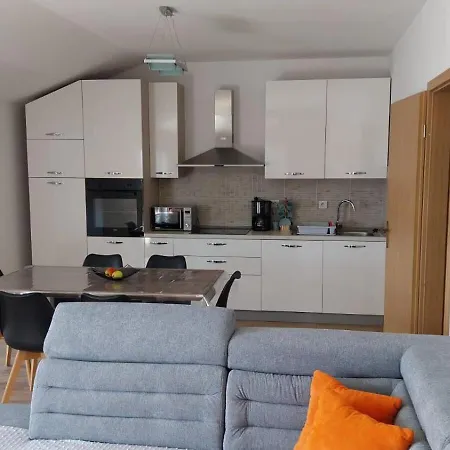 Apartment Plesa *