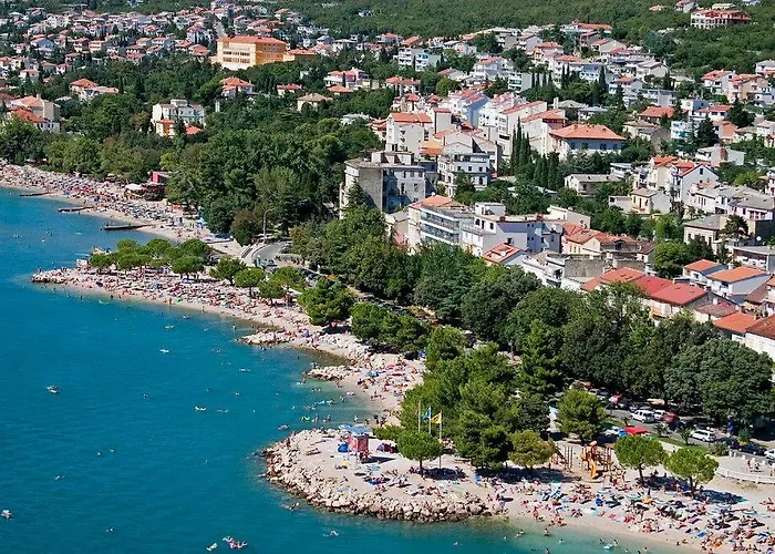 Apartament Plesa