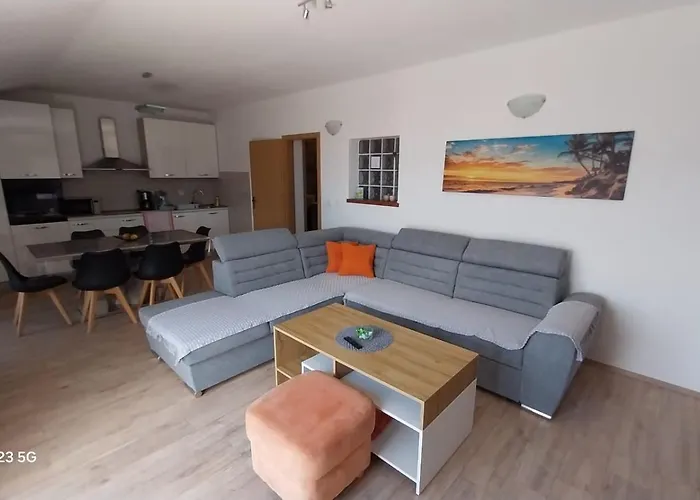 Apartament Plesa *