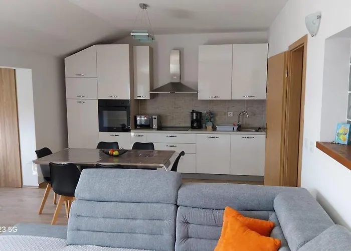 Apartament Plesa *