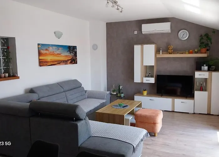 Apartament Plesa